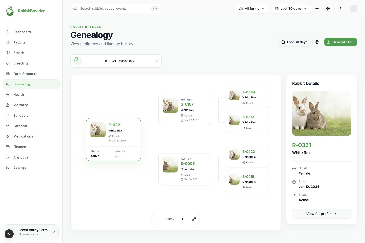 Rabbit genealogy workspace